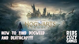 How to find Dogweed And Deathcap in Hogsmeade! In Hogwarts Legacy