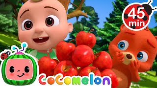 Peek-a-Boo Fun with Boba, Mimi & Tori! 👶🐾 | CoComelon Animal Time | Animals for Kids