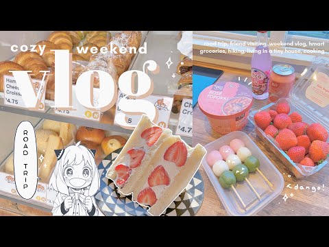 aesthetic weekend vlog 🍡// staying in a tiny house, anime, cooking + fruit sando, road trip, hmart