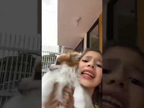CELESTE HACE su PRIMER VIDEO con la NUEVA MASCOTA de YOLO AVENTURAS