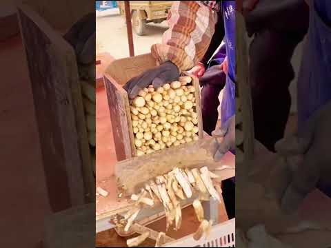Smart cutting tool vegetable #shorts #smartworking