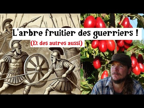 N'oubliez pas ce fruit oublié !