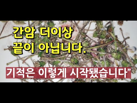 “간암, 끝이라 생각한 순간, 기적은 시작됐습니다”