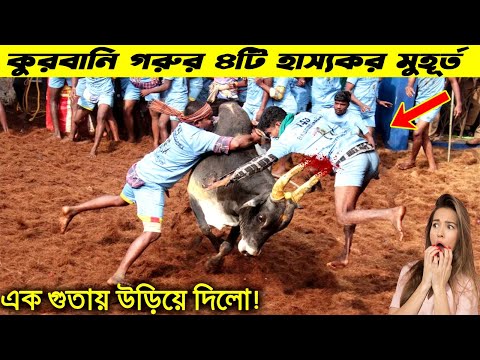 কুরবানি গরুর সেরা ৪টি হাস্যকর মুহূর্ত 😱 Qurbani Funny Cow 2022 😱 #shorts #youtubeshorts #trending