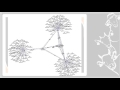 Electronic Identification in Animal Management