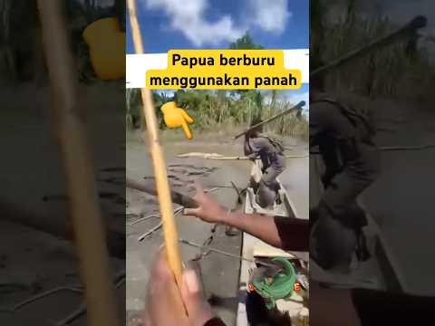Papua berburu buaya menggunakan panah dan tombak #crocodile #berburu #shorts