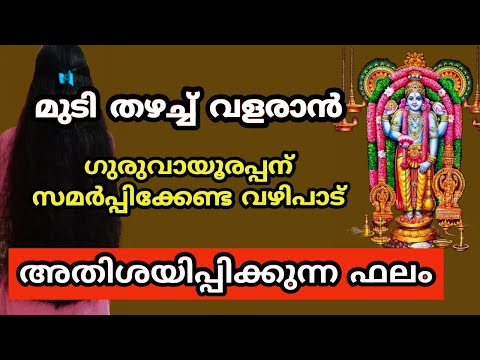 മുടി തഴച്ച് വളരാൻ ഗുരുവായൂരപ്പന് സമർപ്പിക്കേണ്ട വഴിപാട്