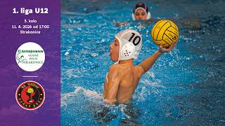 1. liga U12 žáci a žákyně | 5. kolo | 50- Asten Johnson Fezko Strakonice vs. TJ Tábor