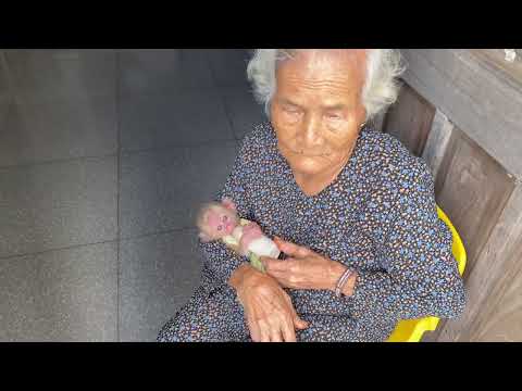 Today, Linda is being cared for wholeheartedly by her great grandmother and is truly happy