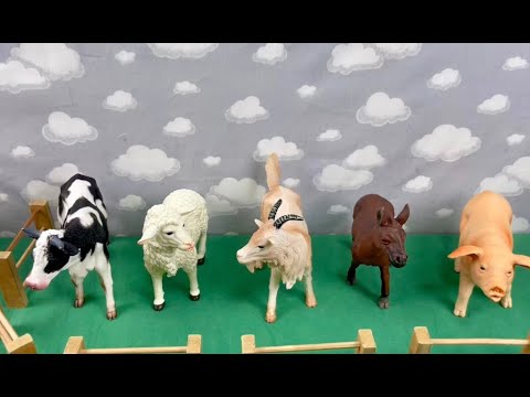 BIG FARM ANIMALS / GRANDES ANIMALS DA FAZENDA