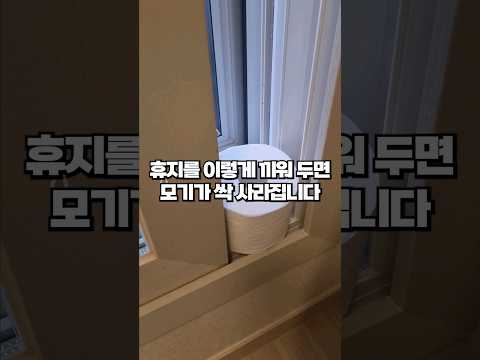 저는 '이 방법'으로 모기 한방에 퇴치했습니다! 전문가에게 배운 모기 잡는 꿀팁 3가지를 공개합니다!