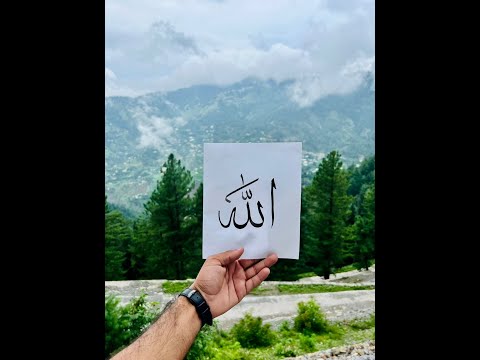 Peaceful Calligraphy in Nature #Nathiyagali