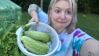 MY GARDEN IS THRIVING!! 😨🌱 | daily vlog |