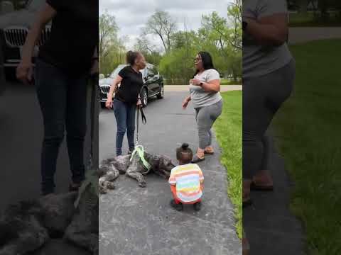 Y’all come get yall folk, this lady come in our backyard at least twice a week with this mess!
