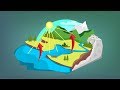 Water Cycle and Reservoirs Concepts