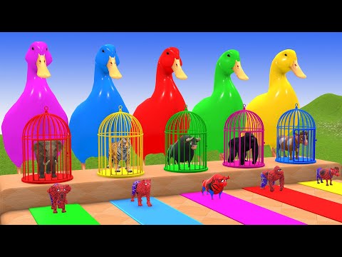 Long Slide Game With Elephant Gorilla Buffalo Hippopotamus Tiger 3d Animal Game Funny 3d Animals