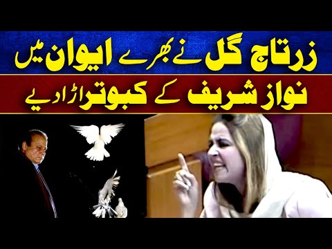 زرتاج گل نے بھرے ایوان میں نواز شریف کے کبوتر اڑا دیے