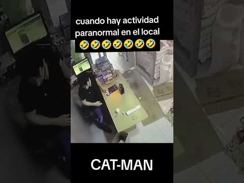 El gato asustador y fantasma. #humor