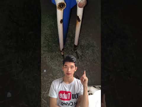 Sự thật về tiếng hát ở công viên hoang vắng