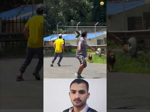 مقلب الكلب الأسد أغرب طريقة أستقبل بها صحبي #دويتو #اكسبلور #تصميمي #automobile