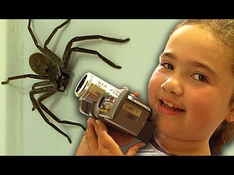 Big Spider Nerf Gun Dyson DC39 Vacuum Capture Kids React Slowmo Study