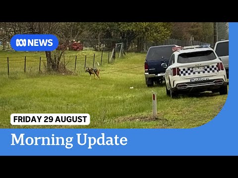 YouTube video thumbnail: Search for Alleged Porepunkah Gunman Enters day 4