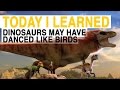 Dinosaurs and Their Modern Relatives