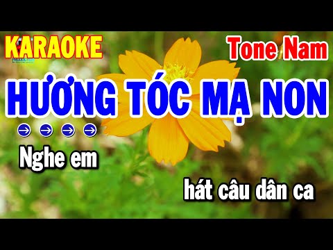 Karaoke Hương Tóc Mạ Non Tone Nam Nhạc Sống Cha Cha Chuẩn | Thanh Hải
