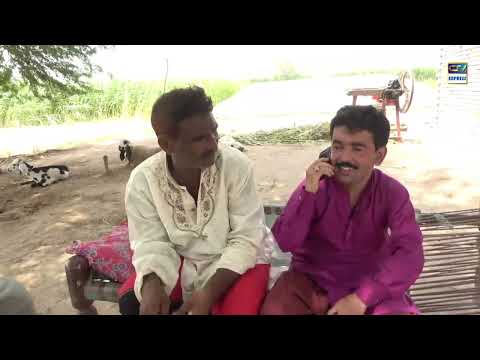 Anum New Top Funny | Punjabi Comedy Video 2023