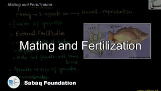 Mating and Fertilization