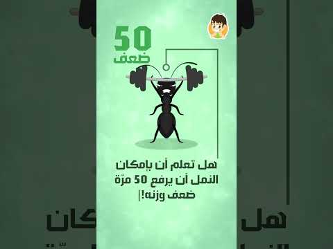 هل تعلم أن بإمكان النمل أن يرفع 50 مرّة ضعف وزنه!