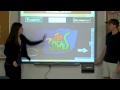 Energy Flow and Ecosystem Roles
