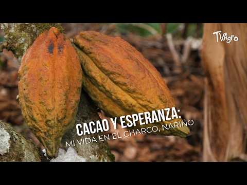 YouTube video thumbnail: Cocoa Partnership Project in Nariño, Colombia
