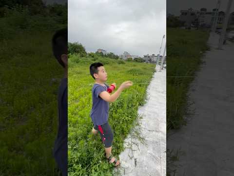 Thả diều - ra hết dây diều để diều bay thật cao #layangan #patang #kite #diềusáo #shorts #xuhướng