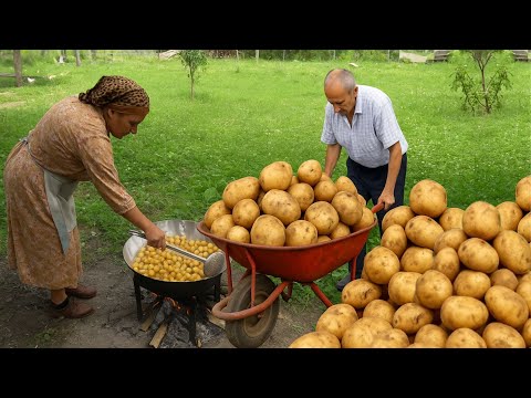 Potato Harvest – Grandma’s Secret Crispy Fries & Kumpir Recipe