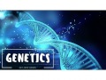 Genetics Vocabulary Challenge