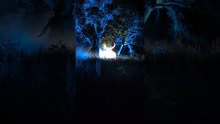 "Expecto Patronum!"