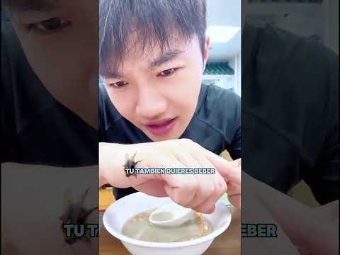 Entrenó a una abeja espía