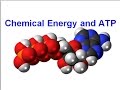 ATP and Energy Production Concepts