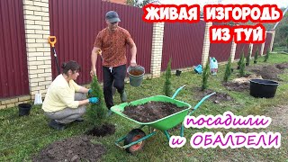 видео
