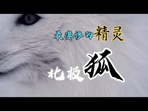 https://www.youtube.com/watch?v=4TRVF3m08BM