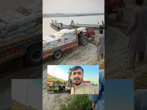 Punjabi farming agricultural in punjab #ytshorts #trending