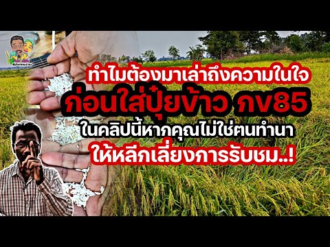 ทำไมต้องบอกเล่าความในใจของเราก่อนพูดถึงการใส่ปุ๋ยข้าวกข85ตาม ไร่หน่อไม้ฝรั่ง พี่น้องจอมป่วน ทำไมต้องบอกเล่าความในใจของเราก่อนพูดถึงการใส่ปุ๋ยข้าวกข85ตาม