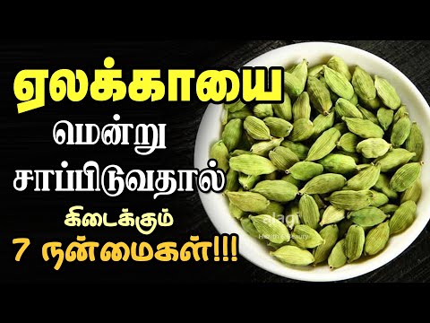 ஏலக்காய் மருத்துவ பயன்கள் | Health Benefits of Eating Cardamom Tamil - elakai/yelakai - Health Tips