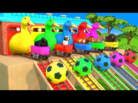 Long Slide Game With Cow Elephant Gorilla Hippopotamus Tiger - 3d Animal Game - Funny 3d Animals