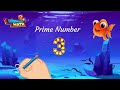 Understanding Prime and Composite Numbers