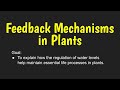 Plant Water Regulation and Transpiration