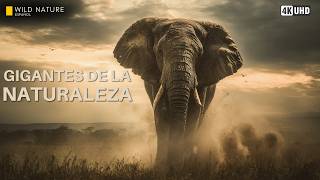 Gigantes de la Naturaleza — Animales que Moldean el Planeta | Documental Completo
