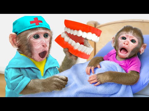 KiKi Monkey pretend Doctor Take Care of Health for Brother Have a Toothache | KUDO ANIMAL KIKI