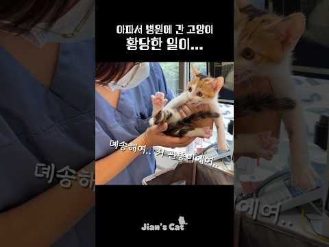 분명 아파해서 병원에 갔는데 황당한 일이!?